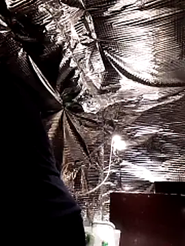 Quebec46 online show from February 20, 2026, 10:10 pm