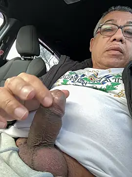 tigre6911 online show from February 26, 2026, 5:12 pm