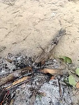 Snapshot of rahulsexybhabhi chatting on December 18, 2025, 5:02 am rahulsexybhabhi online show from December 18, 2025, 5:02 am