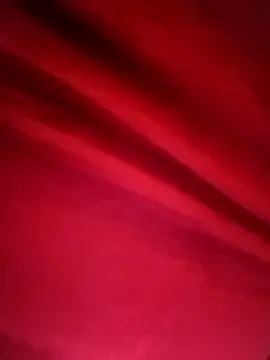 Rinki malhotra online show from February 12, 2026, 7:14 am