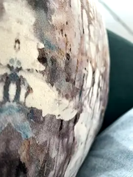 Snapshot of Farawz chatting on December 17, 2025, 6:47 pm Farawz online show from December 17, 2025, 6:47 pm