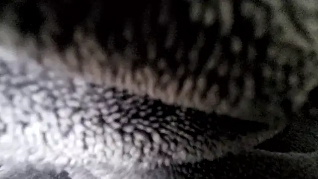 Snapshot of Saarboy90 chatting on December 16, 2025, 12:54 pm Saarboy90 online show from December 16, 2025, 12:54 pm