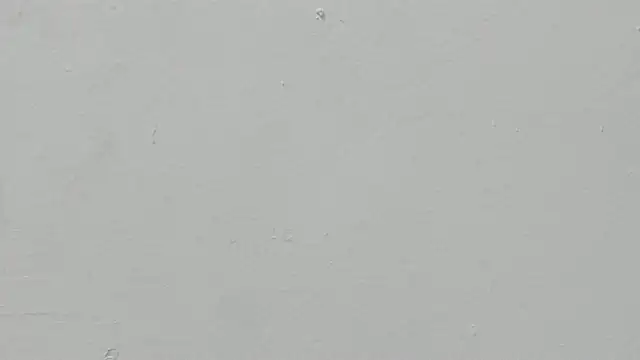 ariloe quintero online show from April 11, 2026, 1:04 pm