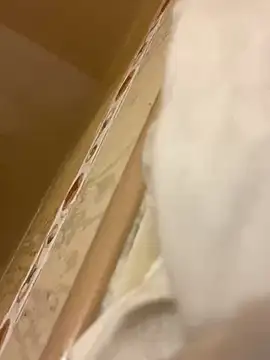 baby young online show from March 6, 2026, 11:34 pm