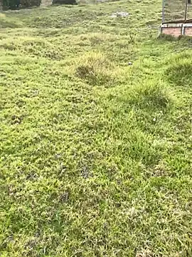 Snapshot of Maicol_xxxx chatting on April 10, 2026, 8:46 pm Maicol xxxx online show from April 10, 2026, 8:46 pm