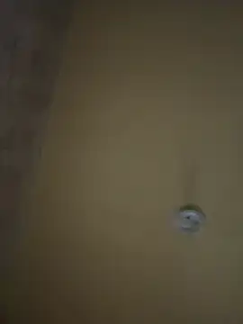 amorasecy online show from April 17, 2026, 11:13 am