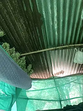 Hot2602 online show from April 10, 2026, 6:07 am