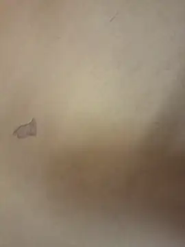 yourburget online show from February 19, 2026, 2:24 pm