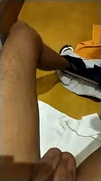 Novinhoie online show from February 14, 2026, 10:28 pm