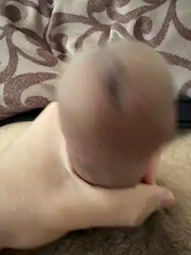 Snapshot of beastcumm chatting on April 5, 2026, 8:11 am beastcumm online show from April 5, 2026, 8:11 am