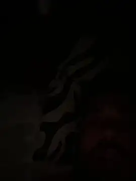 paco199923 online show from February 4, 2026, 9:15 am