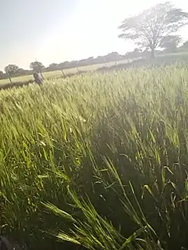 hornycouple20000 online show from January 14, 2026, 11:05 am