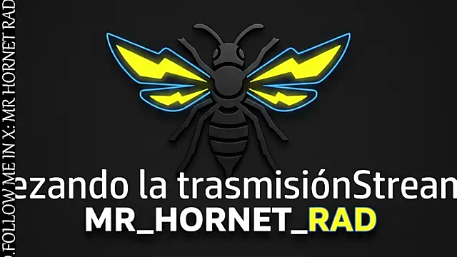 Snapshot of s_hornet chatting on April 23, 2026, 2:52 pm s hornet online show from April 23, 2026, 2:52 pm