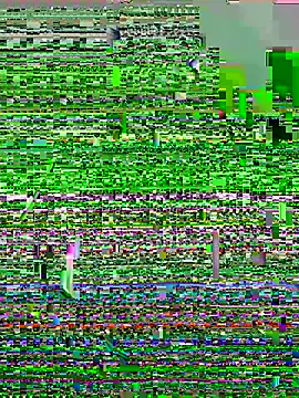 Snapshot of lzinho9153 chatting on April 16, 2026, 4:19 pm lzinho9153 online show from April 16, 2026, 4:19 pm