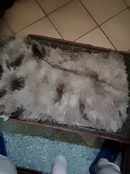 TAMI61 online show from March 25, 2026, 2:45 pm