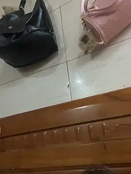 Snapshot of Liness101 chatting on February 4, 2026, 12:05 am Liness101 online show from February 4, 2026, 12:05 am