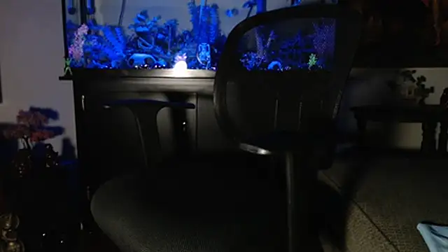 Snapshot of EspanolVato chatting on January 10, 2026, 10:50 am EspanolVato online show from January 10, 2026, 10:50 am