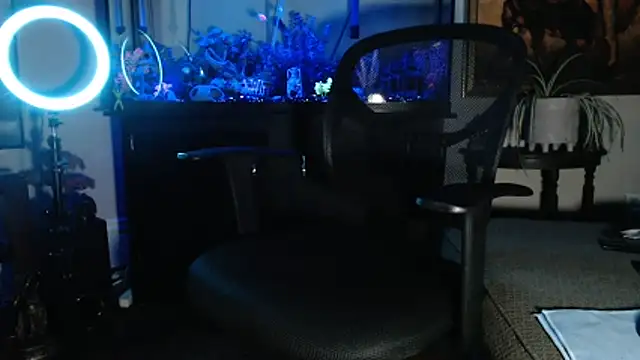 EspanolVato online show from February 21, 2026, 9:43 am