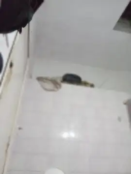 darkgodessone online show from April 4, 2026, 11:35 pm