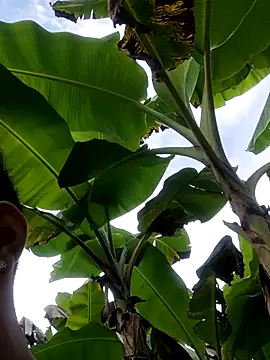 Snapshot of Wild_and_Sweets chatting on January 11, 2026, 7:52 pm Wild and Sweets online show from January 11, 2026, 7:52 pm