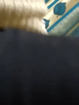 couple fun  online show from March 2, 2026, 11:00 pm