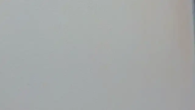 Missy 22  online show from April 15, 2026, 1:40 pm