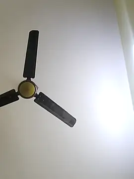 trinasa online show from January 12, 2026, 8:03 pm