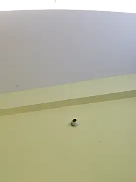 trinasa online show from April 8, 2026, 7:47 pm