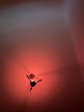 Snapshot of witchdub chatting on February 18, 2026, 4:47 pm witchdub online show from February 18, 2026, 4:47 pm