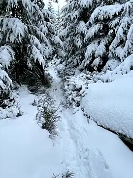 Snapshot of Marina_und_Jayden chatting on February 18, 2026, 2:24 pm Marina und Jayden online show from February 18, 2026, 2:24 pm