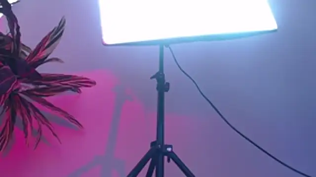 KimiNaru online show from March 3, 2026, 4:24 pm