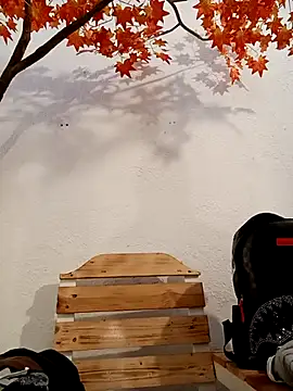 Dante Knox online show from March 16, 2026, 11:14 am