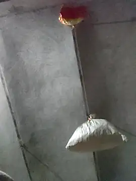 kulwantj online show from January 18, 2026, 1:59 pm