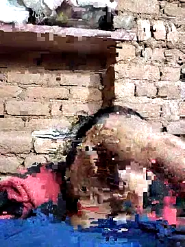 Snapshot of Hot_di97 chatting on February 14, 2026, 8:38 pm Hot di97 online show from February 14, 2026, 8:38 pm