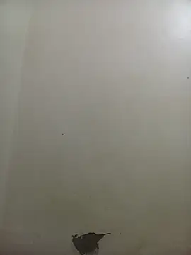 PatriciaVen online show from February 10, 2026, 4:05 am