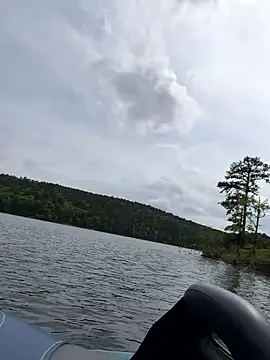 tastemecaroline online show from April 15, 2026, 8:20 pm