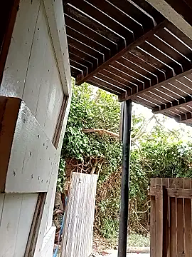 Snapshot of dicklife3485 chatting on February 24, 2026, 8:23 am dicklife3485 online show from February 24, 2026, 8:23 am