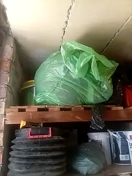 dicklife3485 online show from March 31, 2026, 10:37 am