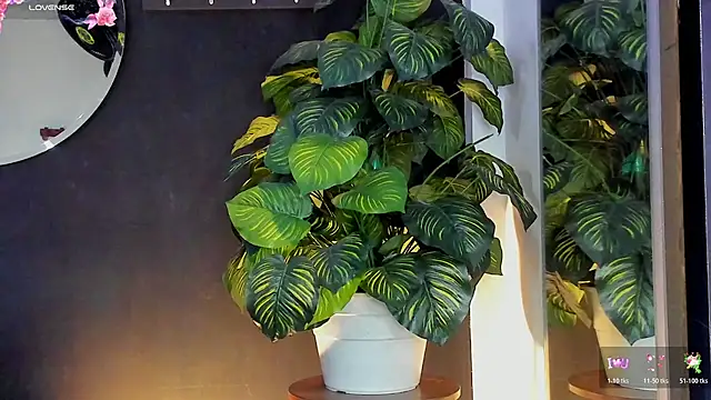 Noaah25  online show from March 20, 2026, 3:22 am