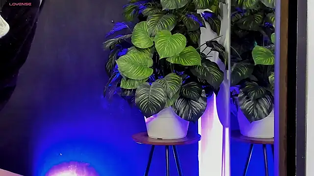 Noaah25  online show from March 22, 2026, 3:21 am