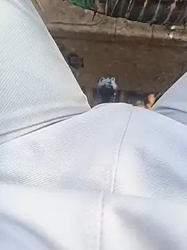 Hot BoyDick-Telugu online show from January 15, 2026, 7:57 am