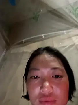 kotaka-shoow online show from February 10, 2026, 10:41 am