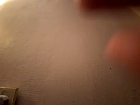 Snapshot of DanekBear chatting on April 14, 2026, 10:38 pm DanekBear online show from April 14, 2026, 10:38 pm