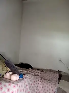 gatodepauduro online show from April 18, 2026, 12:31 pm