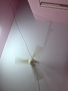 pavso1438 online show from January 17, 2026, 12:10 pm