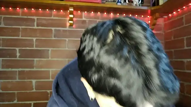 PaulDamico online show from February 2, 2026, 12:15 pm