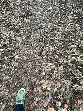 Snapshot of tony3729 chatting on February 28, 2026, 11:22 am tony3729 online show from February 28, 2026, 11:22 am