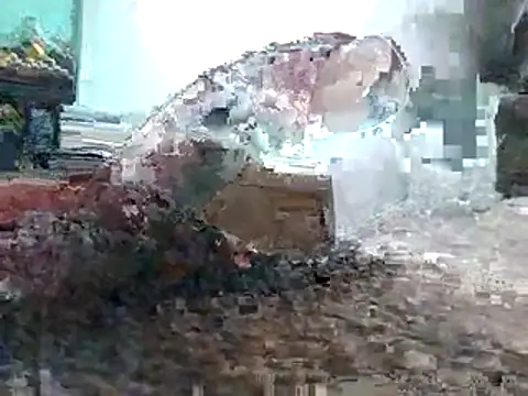 DB boy online show from April 10, 2026, 11:31 pm