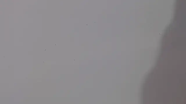 adara cute 69 online show from February 5, 2026, 6:12 pm