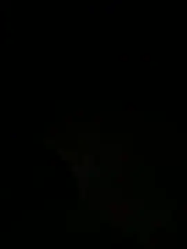 tyd247 online show from March 28, 2026, 3:11 pm